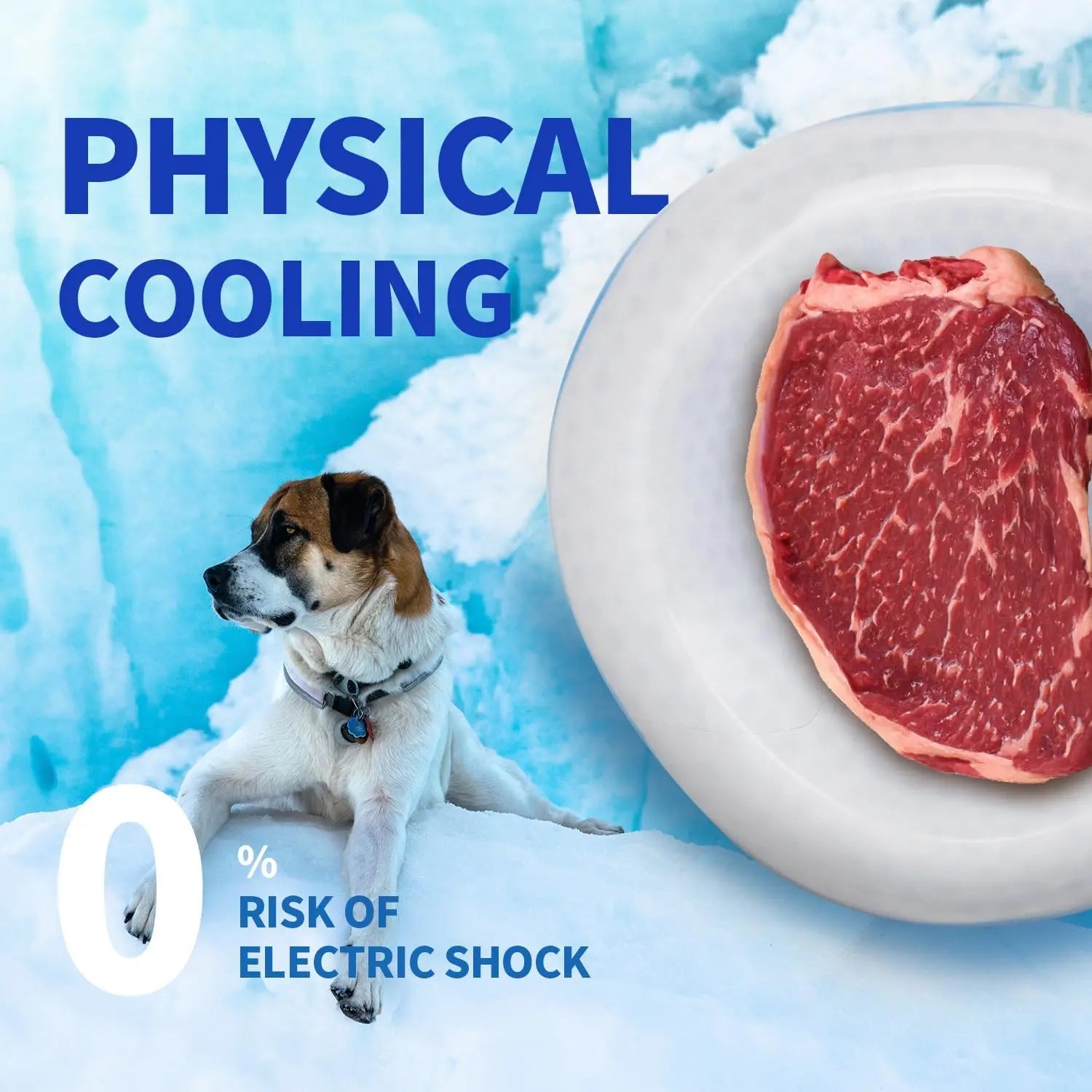 All for Paws Chill Out Cooler Food Bowl Large 500Ml - Blue & White Pet Dish for Cooling Food