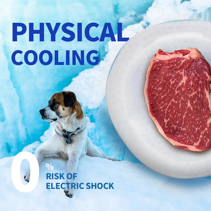 All for Paws Chill Out Cooler Food Bowl Large 500Ml - Blue & White Pet Dish for Cooling Food