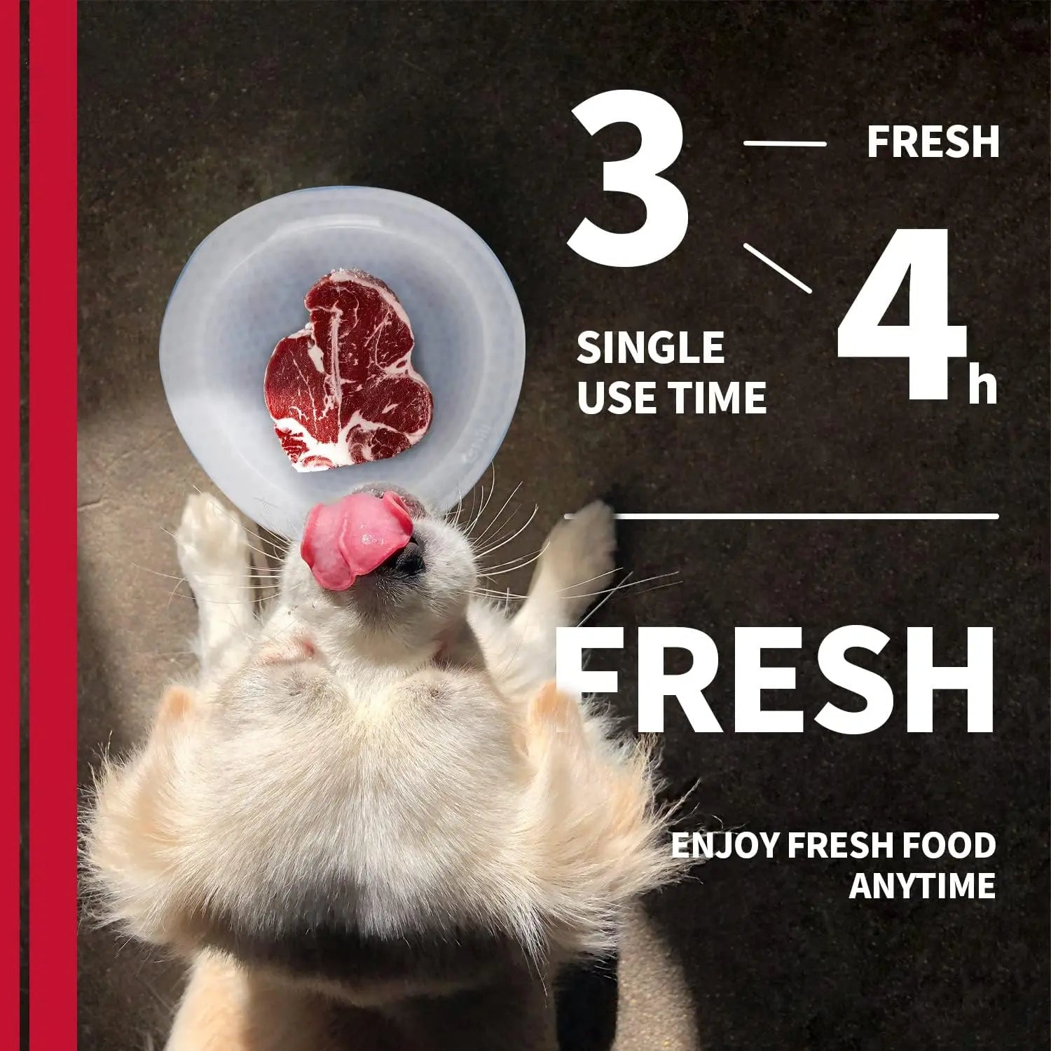 All for Paws Chill Out Cooler Food Bowl Large 500Ml - Blue & White Pet Dish for Cooling Food