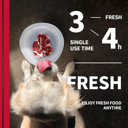 All for Paws Chill Out Cooler Food Bowl Large 500Ml - Blue & White Pet Dish for Cooling Food