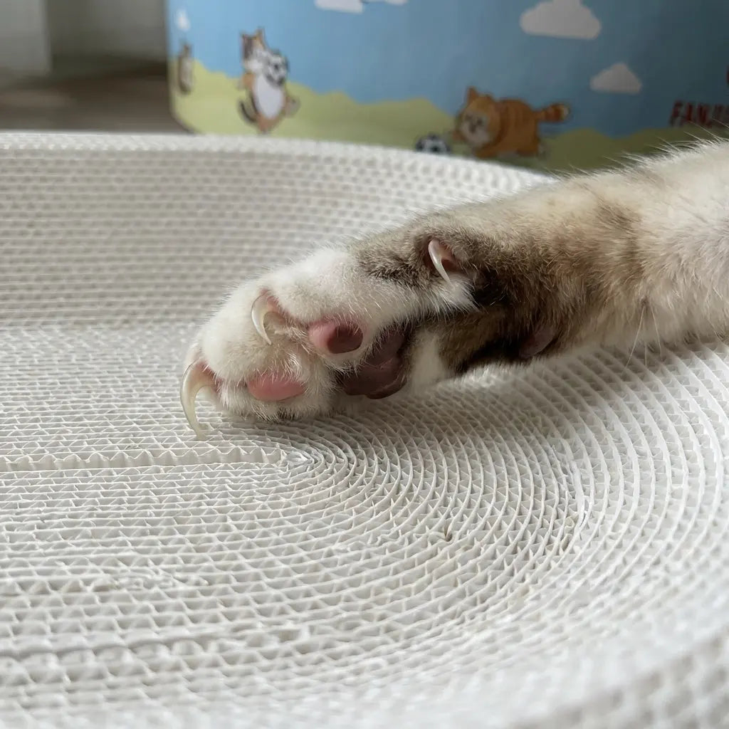 Tiktokshopmemorialday Cartoon Print High-Strength Cat Scratching Board - Oval Large Space, Debris-Free, Anti-Slip Safe Scratcher for All Cats Cat Furniture Cool Cat Stuff Cat Stuff for Indoor