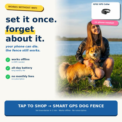 GPS Wireless Dog Fence - No-Subscription Virtual Containment System with Customizable Boundary, 2-In-1 Waterproof Rechargeable Training Tool for Medium & Large Dogs Outdoor Use