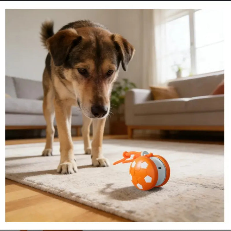 Interactive Dog Toys, 2026 Upgraded Motion-Activated Electric Automatic Rolling Ball with Rope, Random Path Movement, Rechargeable Boredom Relief Toy for Small Medium Large Dogs (Orange)