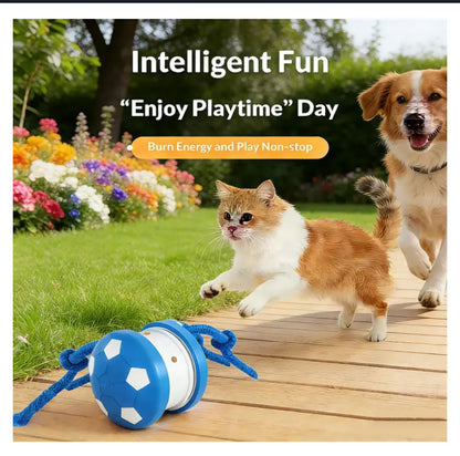 Interactive Dog Toys, 2026 Upgraded Motion-Activated Electric Automatic Rolling Ball with Rope, Random Path Movement, Rechargeable Boredom Relief Toy for Small Medium Large Dogs (Orange)