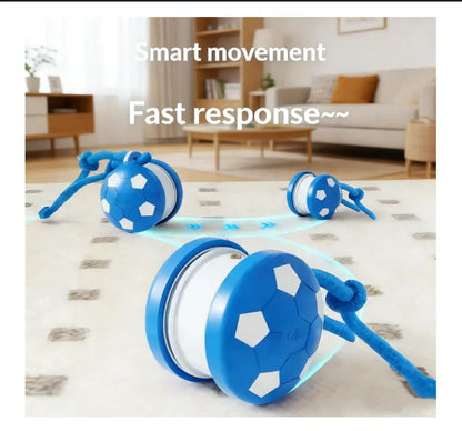 Interactive Dog Toys, 2026 Upgraded Motion-Activated Electric Automatic Rolling Ball with Rope, Random Path Movement, Rechargeable Boredom Relief Toy for Small Medium Large Dogs (Orange)