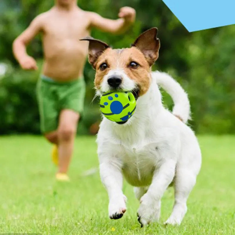 Durable Interactive Squeaky Dog Toy Ball for Training and Play, Ideal for Indoor and Outdoor Use, Perfect Gift for Pets and Special Occasions