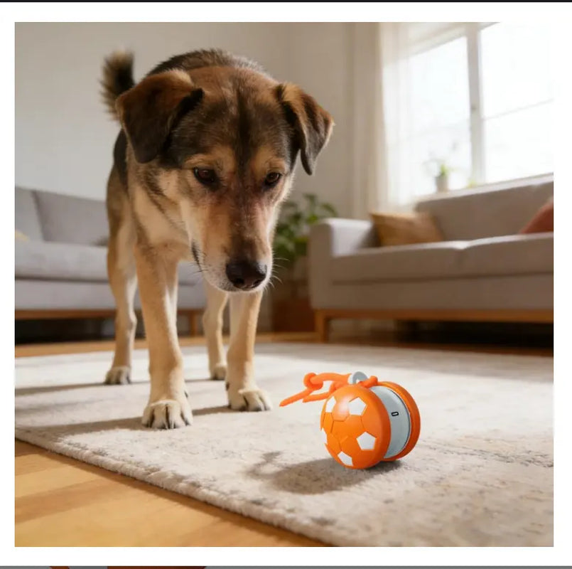Interactive Dog Toys, 2026 Upgraded Motion-Activated Electric Automatic Rolling Ball with Rope, Random Path Movement, Rechargeable Boredom Relief Toy for Small Medium Large Dogs (Orange)