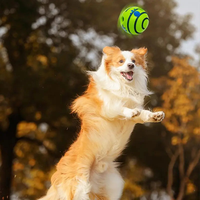 Durable Interactive Squeaky Dog Toy Ball for Training and Play, Ideal for Indoor and Outdoor Use, Perfect Gift for Pets and Special Occasions